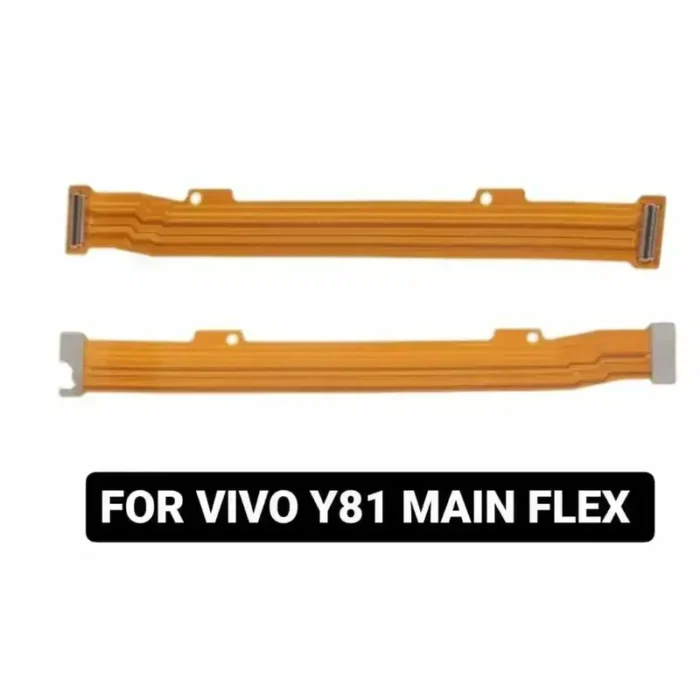 p1QyLESX 800 800
